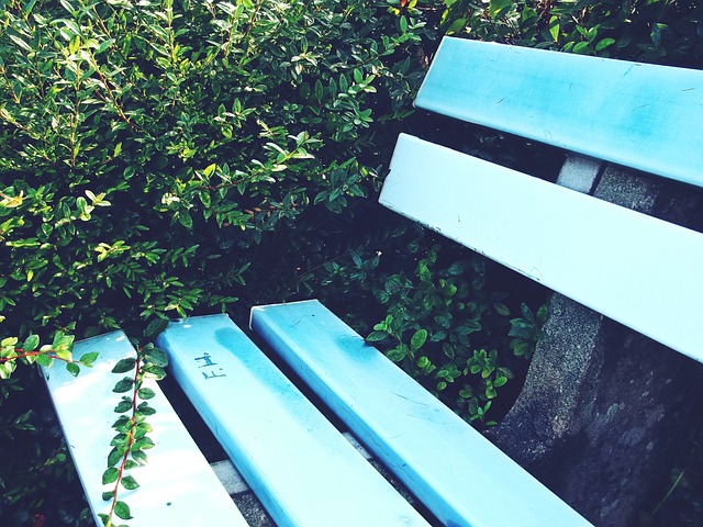 球员的角色 球员的角色