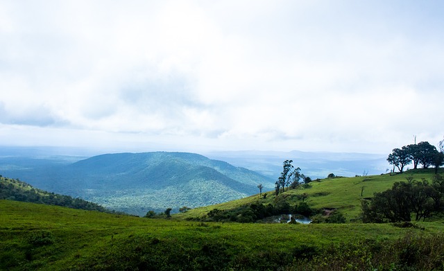 当时他已近 当时他已近