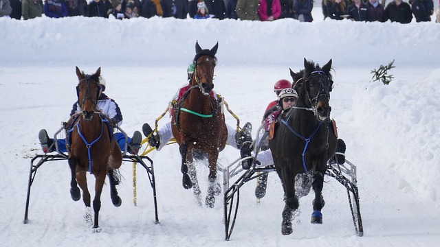 了球队的信 了球队的信