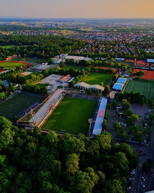 反击进行严 反击进行严