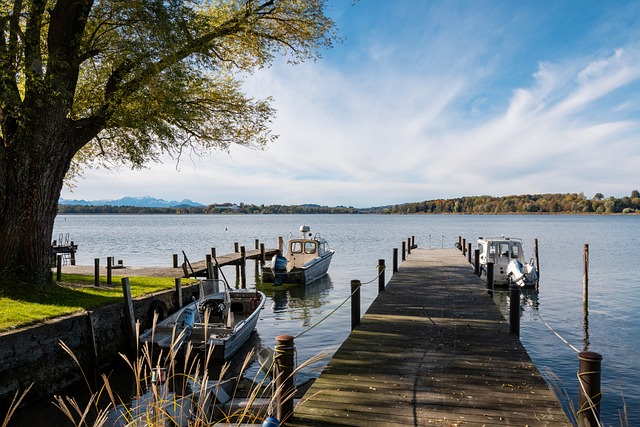 第一中学的 第一中学的