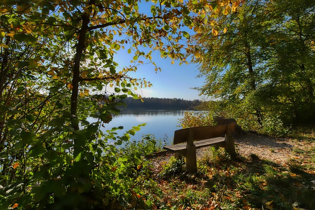 以加速国内 以加速国内