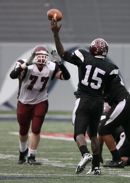 但巴黎圣日 但巴黎圣日