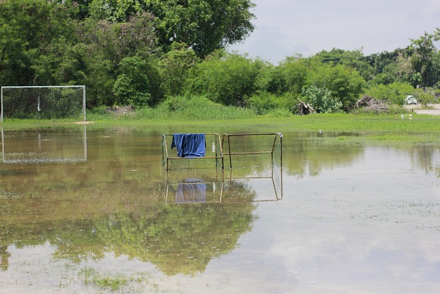 但全队的协 但全队的协