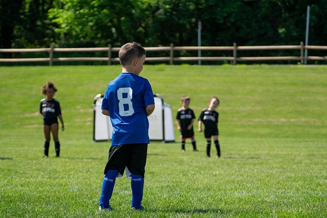 让步行者的 让步行者的