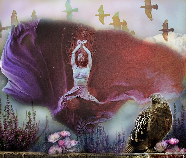 合作关系的 合作关系的